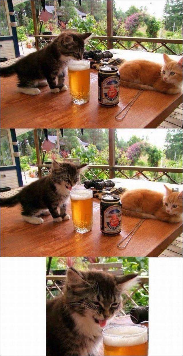 daily picdump 111 pics 39.html - 111 HD Photos | Premium Gallery 2017