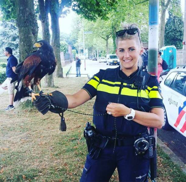 daily picdump 82 pics 26.html - 82 HD Photos | Premium Gallery 2017