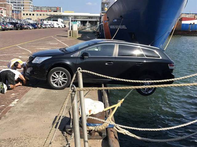 daily picdump 82 pics 26.html - 82 HD Photos | Premium Gallery 2017