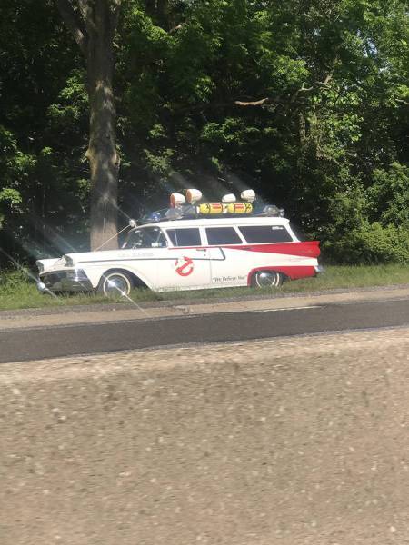 daily picdump 82 pics 26.html - 82 HD Photos | Premium Gallery 2017