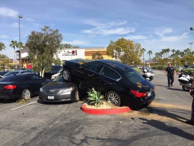 daily picdump 82 pics 26.html - 82 HD Photos | Premium Gallery 2017