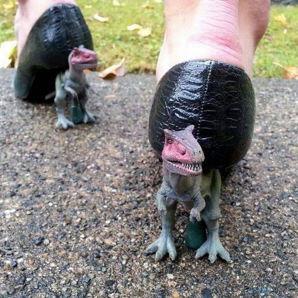 Daily Picdump