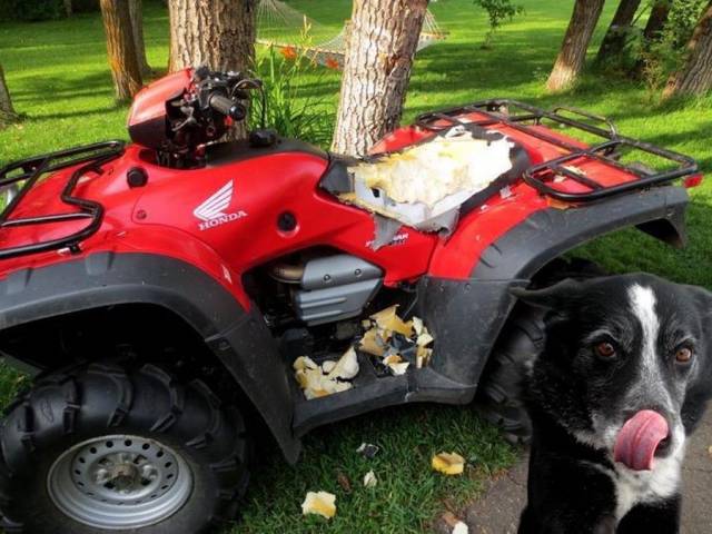 daily picdump 94 pics 38.html - 94 HD Photos | Premium Gallery 2017