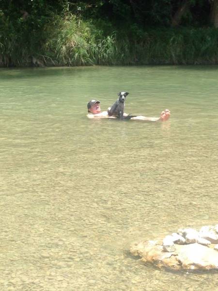 daily picdump 94 pics 38.html - 94 HD Photos | Premium Gallery 2017