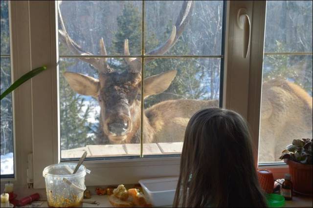 daily picdump 94 pics 38.html - 94 HD Photos | Premium Gallery 2017