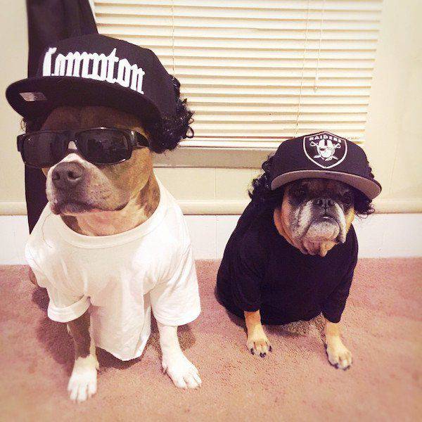 daily picdump 94 pics 38.html - 94 HD Photos | Premium Gallery 2017