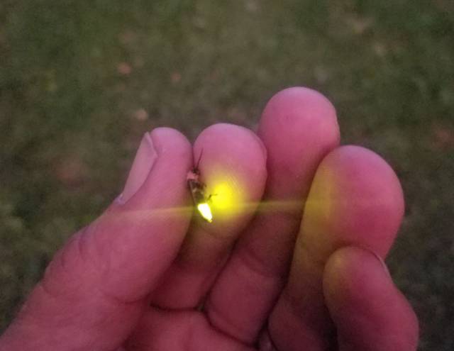 daily picdump 94 pics 38.html - 94 HD Photos | Premium Gallery 2017