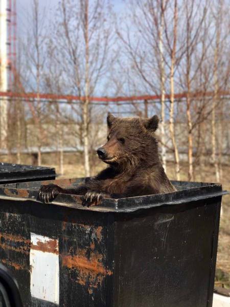 daily picdump 94 pics 38.html - 94 HD Photos | Premium Gallery 2017