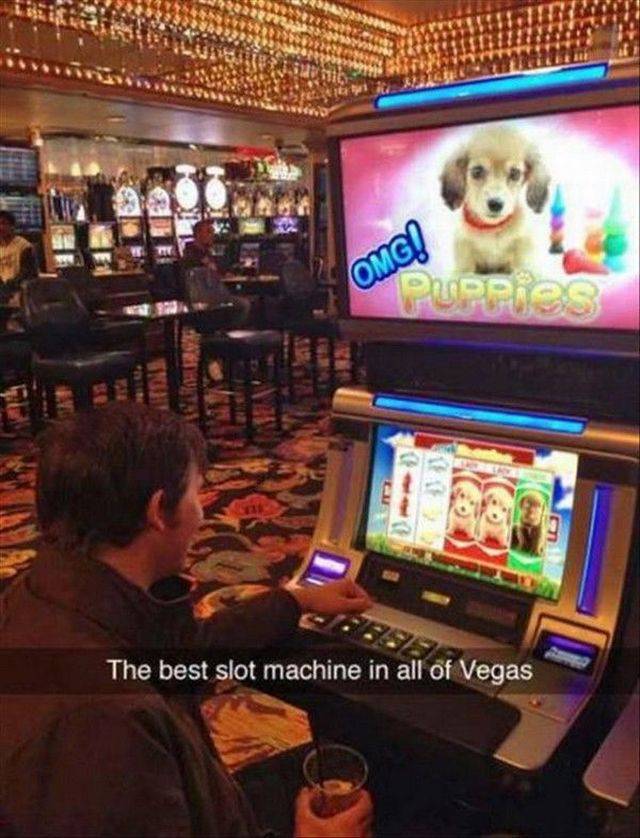 daily picdump 94 pics 38.html - 94 HD Photos | Premium Gallery 2017