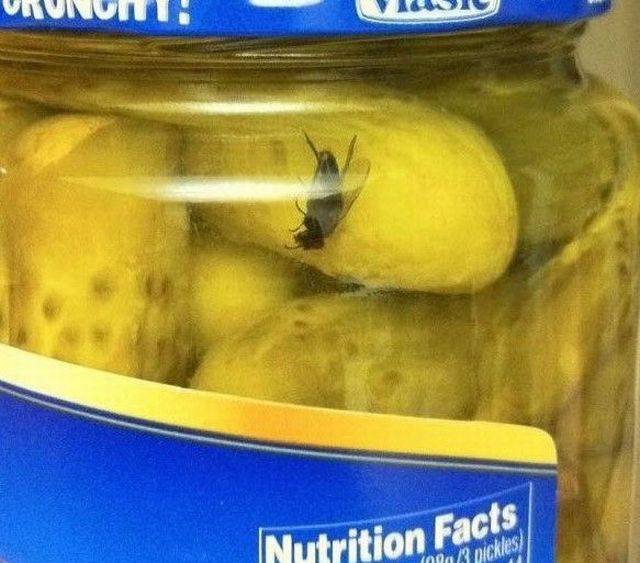 daily picdump 107 pics 34.html - 107 HD Photos | Premium Gallery 2017