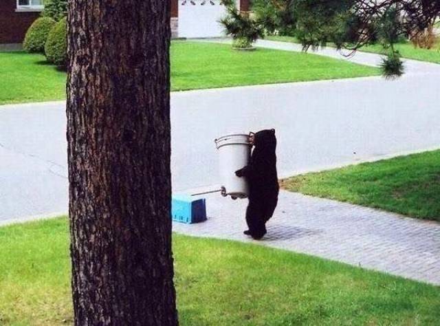 daily picdump 107 pics 34.html - 107 HD Photos | Premium Gallery 2017