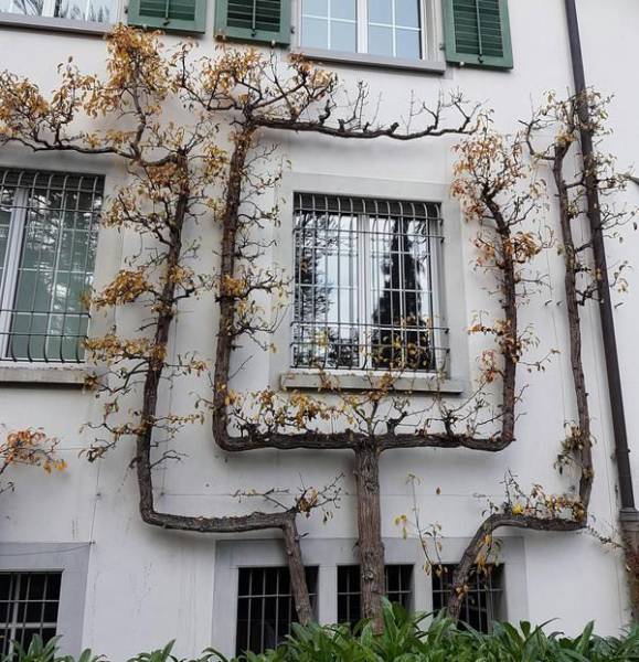 daily picdump 107 pics 34.html - 107 HD Photos | Premium Gallery 2017