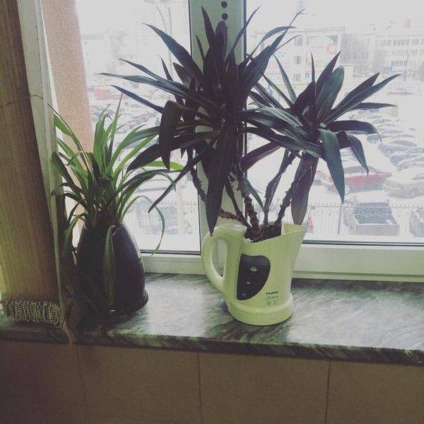 daily picdump 107 pics 34.html - 107 HD Photos | Premium Gallery 2017