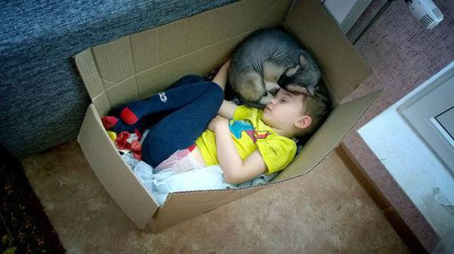 daily picdump 107 pics 34.html - 107 HD Photos | Premium Gallery 2017