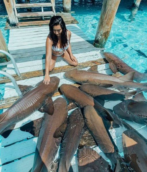 daily picdump 107 pics 34.html - 107 HD Photos | Premium Gallery 2017