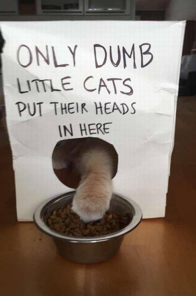 daily picdump 107 pics 34.html - 107 HD Photos | Premium Gallery 2017