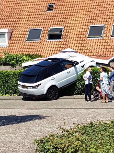 daily picdump 96 pics 15.html - 96 HD Photos | Premium Gallery 2017