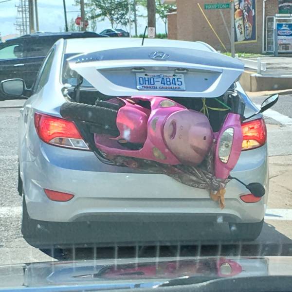 daily picdump 96 pics 15.html - 96 HD Photos | Premium Gallery 2017