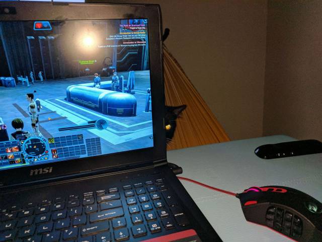 daily picdump 96 pics 15.html - 96 HD Photos | Premium Gallery 2017