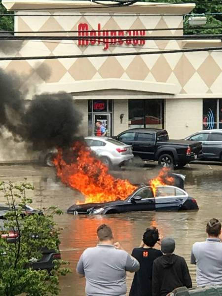 daily picdump 96 pics 15.html - 96 HD Photos | Premium Gallery 2017