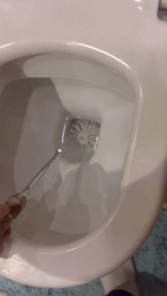 daily picdump 96 pics 15.html - 96 HD Photos | Premium Gallery 2017