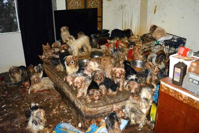 daily picdump 96 pics 15.html - 96 HD Photos | Premium Gallery 2017