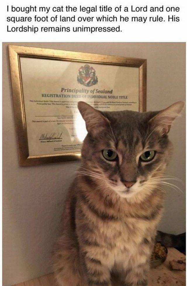 daily picdump 96 pics 15.html - 96 HD Photos | Premium Gallery 2017