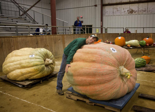 morning picdump 50 pics 5.html - 50 HD Photos | Premium Gallery 2017