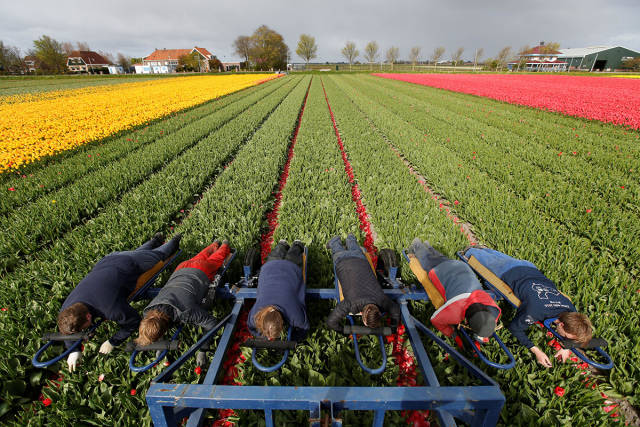 morning picdump 50 pics 5.html - 50 HD Photos | Premium Gallery 2017