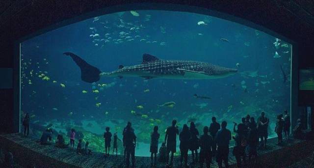 morning picdump 50 pics 5.html - 50 HD Photos | Premium Gallery 2017