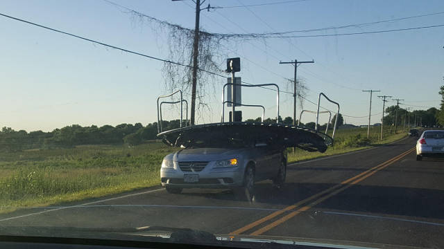 morning picdump 50 pics 5.html - 50 HD Photos | Premium Gallery 2017