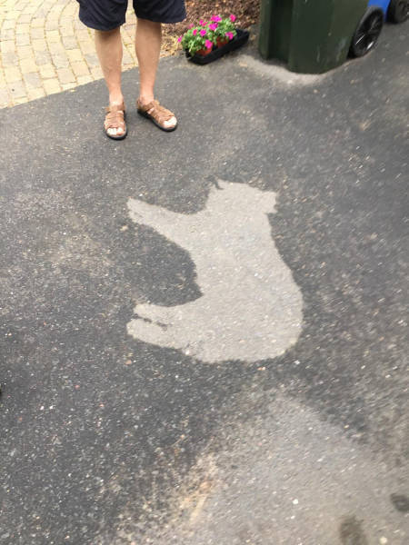 morning picdump 50 pics 5.html - 50 HD Photos | Premium Gallery 2017