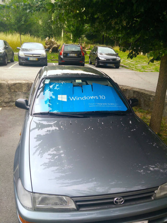 morning picdump 50 pics 5.html - 50 HD Photos | Premium Gallery 2017