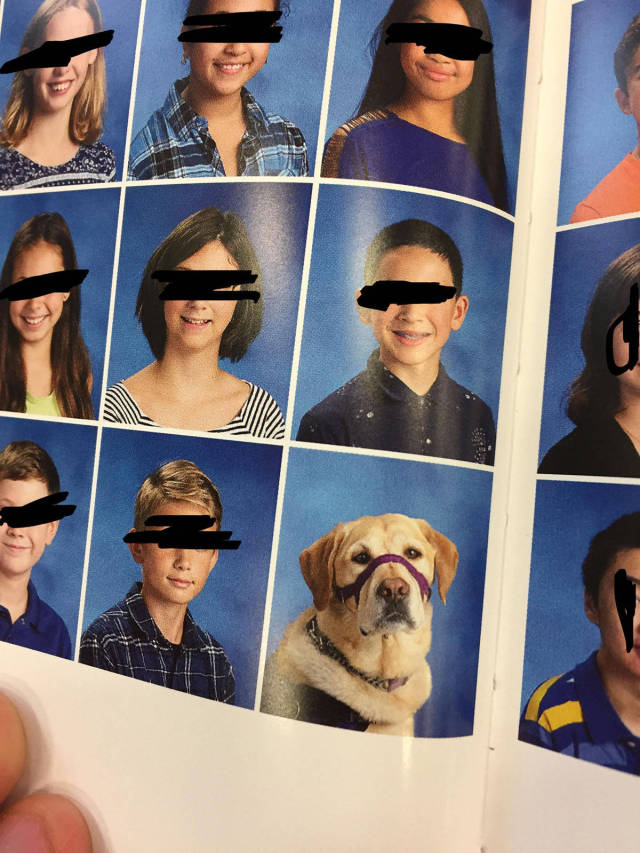 morning picdump 50 pics 5.html - 50 HD Photos | Premium Gallery 2017