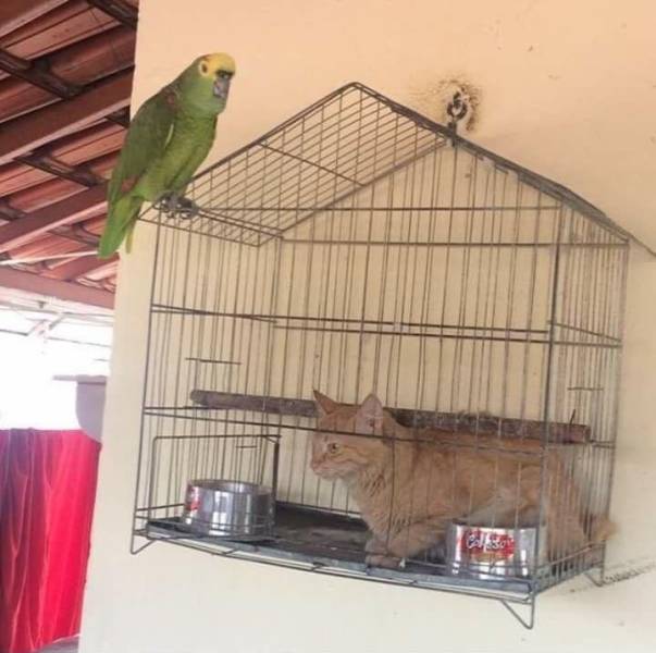 daily picdump 93 pics 42.html - 93 HD Photos | Premium Gallery 2017