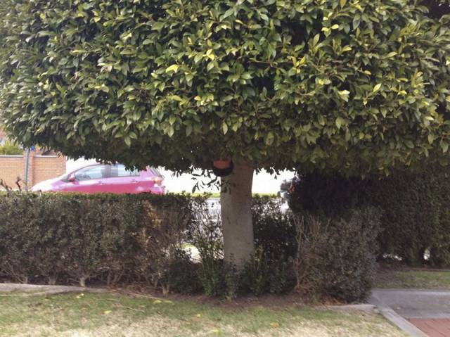 daily picdump 93 pics 42.html - 93 HD Photos | Premium Gallery 2017