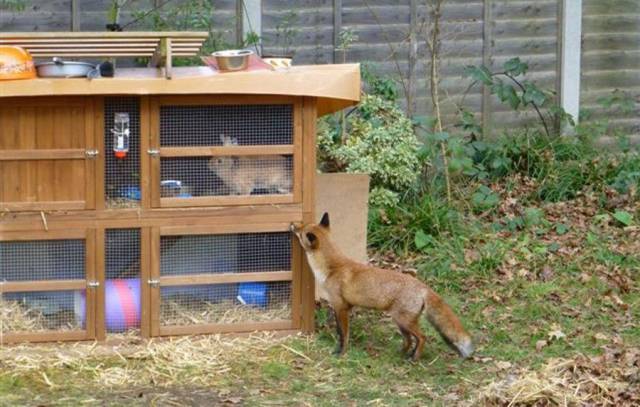 daily picdump 93 pics 42.html - 93 HD Photos | Premium Gallery 2017