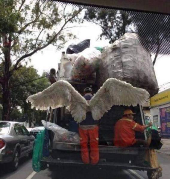 daily picdump 93 pics 42.html - 93 HD Photos | Premium Gallery 2017