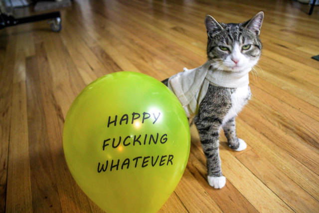 morning picdump 51 pics 10.html - 51 HD Photos | Premium Gallery 2017