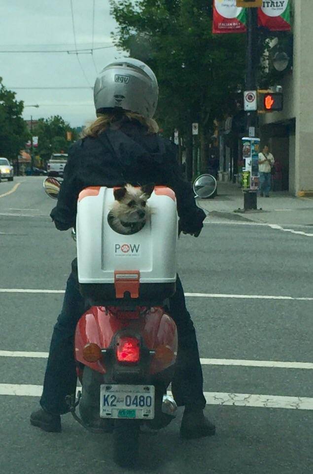 morning picdump 51 pics 10.html - 51 HD Photos | Premium Gallery 2017