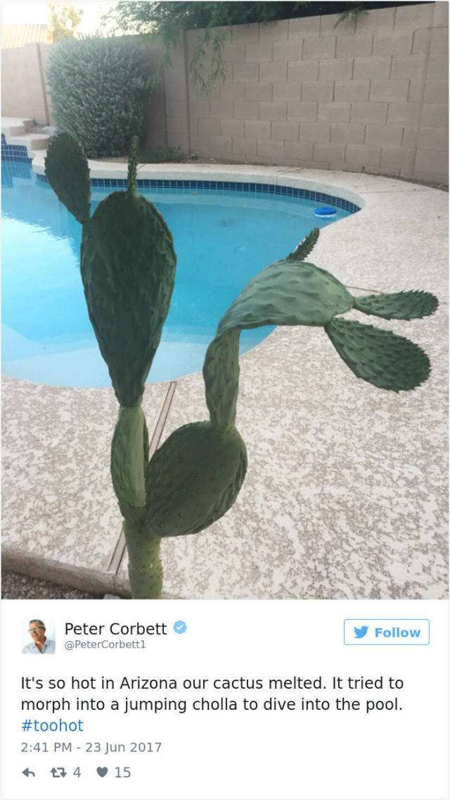 Arizona Is Frying And Melting. Literally