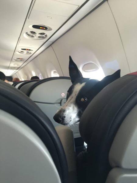 Funny Picdump