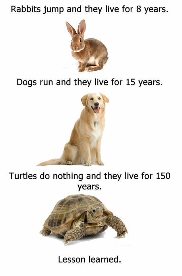 Funny Picdump