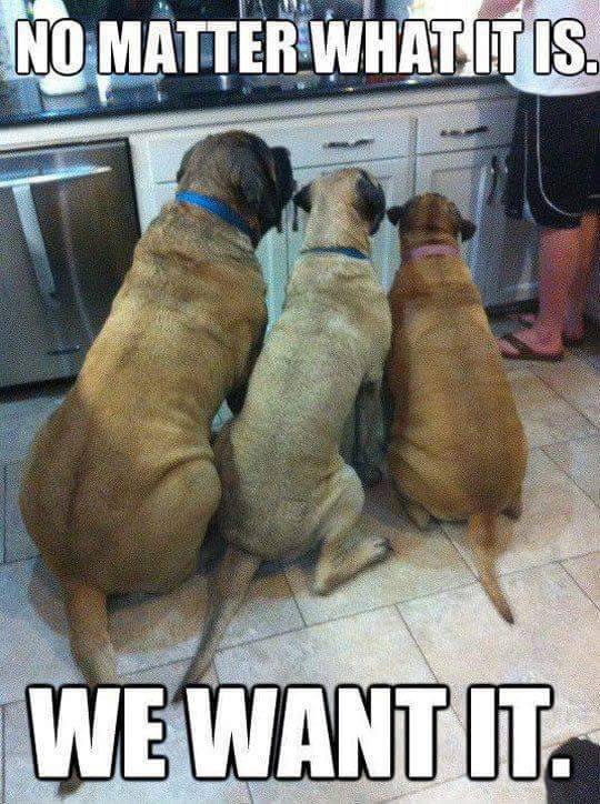 Funny Picdump