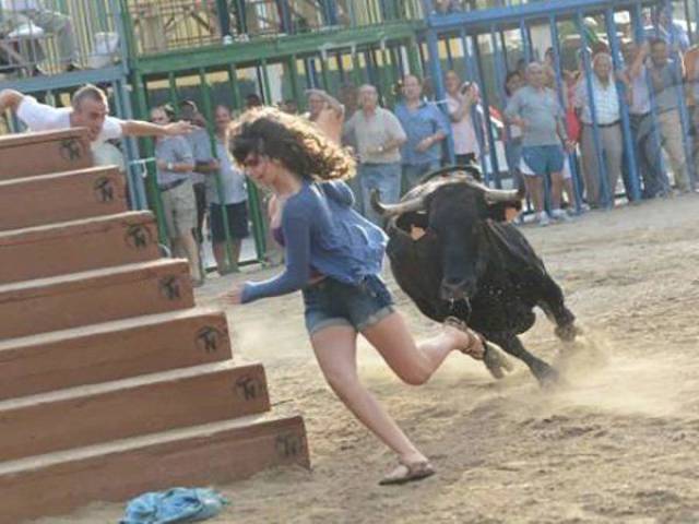 Daily Picdump
