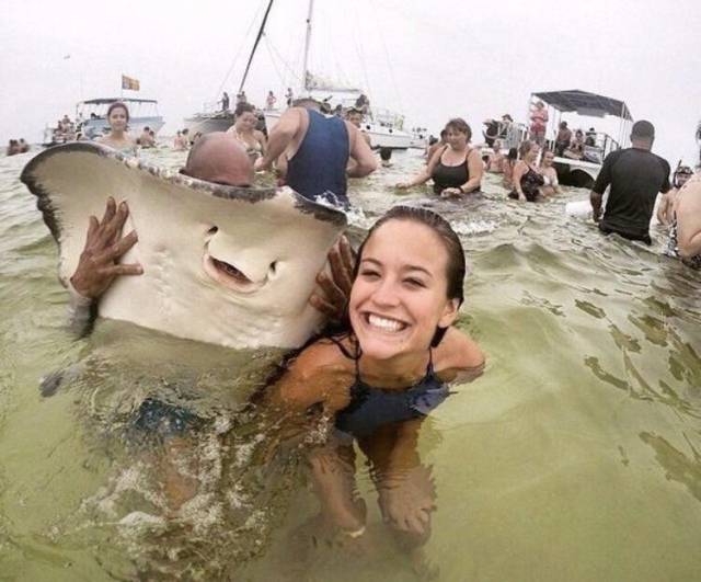 Daily Picdump