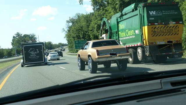 Daily Picdump