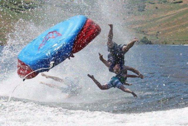 Daily Picdump