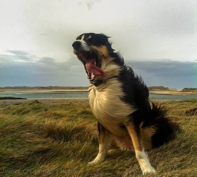 Wind Will Do Whatever It Wants With You