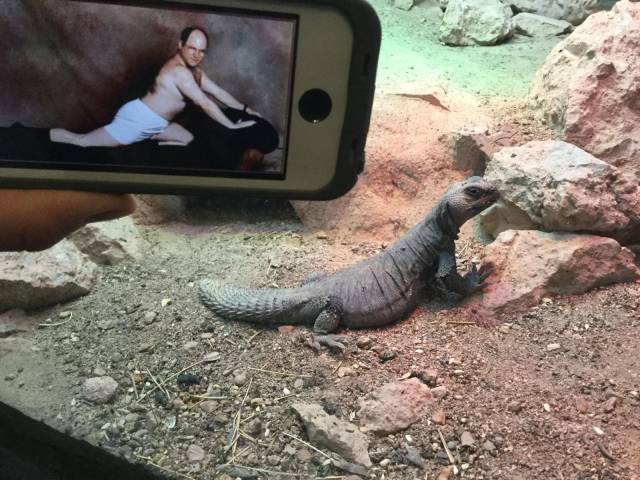 daily picdump 93 pics 22.html - 93 HD Photos | Premium Gallery 2017